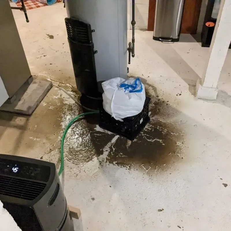 Sewage Backup Cleanup Service in Beattyville, KY